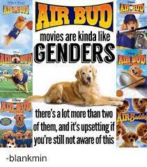 This is probaly one of the best movies in the air bud series (besides snow buddies, treasure buddies, and super buddies from the air buddies series). You Re In Charge Of Air Bud 6 What Sport Does The Pooch Play Resetera