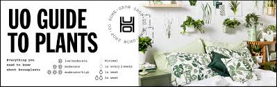 Urban outfitters is trading at 22x projected fiscal 2022 earnings and 17.9x projected fiscal 2023 earnings. Guide To Plants Uo Culture