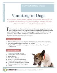 If there are live worms or a large infestation, such as with roundworms, a dog may. Dog Vomiting Causes Visit The Image Link For More Details Ilovedogs Dog Care Tips Dog Hacks The Perfect Dog