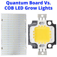 Parfactworks has been around for many years. Quantum Board Vs Cob Led Grow Lights The Key To Deciding