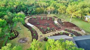 23,062 likes · 5 talking about this. From Lawn Wasteland To Epic Food Forest In 10 Days Youtube