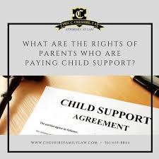 What Are The Rights Of Parents Who Are Paying Child Support Ift Tt 2jxmfqc Che Child Support Laws Ideas With Images Child Support Laws Parenting Comics Child Support