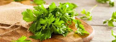 The parsley health team is doctors, health coaches, engineers, data scientists, writers, operators, and designers all important notice: Benefits Of Parsley And Its Side Effects Lybrate