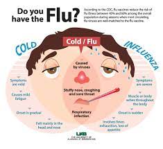 Cold Vs. Flu: Which Is It? - News | Uab