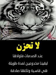 pin by فلسطينية ولي الفخر on روائع الحكم quotations poster movie posters