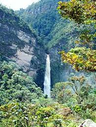 Resultado de imagen para que es la flora y fauna en venecia cundinamarca