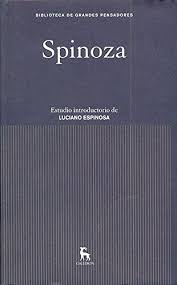 Spinoza Grandes Pensadores Spanish Edition Spinoza Baruch Espinosa Rubio Luciano 9788424919412 Amazon Com Books