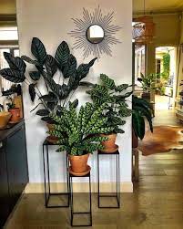 This cute plant hanger comes in ivory and gray, and you can purchase one or two of them at a time. 60 Indoor Decorative Plants To Bring Freshness Plant Stand Decor Living Room Plants Plant Decor Indoor