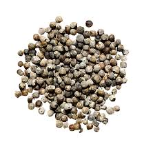 Image result for Vitex strickeri