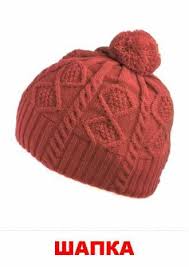 животные жарких стран занятие для детей 2 3 лет Pin By Yuliya Kovtun On Kartochki Domana Develop Pictures Knitted Hats Clip Art