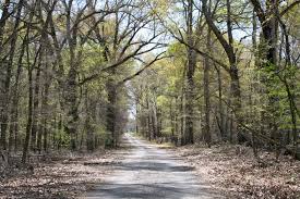 Which you can use for free. Louisiana Hd Wallpapers Backgrounds