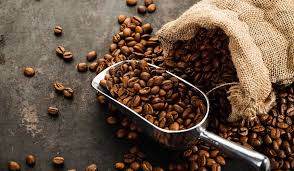 Costa Rican Tarrazu Papagayo Light Roast Whole Bean Coffee 1 2 Lb First Coast Tea Co