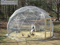 20 Ft Geodesic Dome Outdoor Aviary Flight Cage This Is A Pretty Awesome Design Animal Pen Geodesic Dome Chickens Backyard
