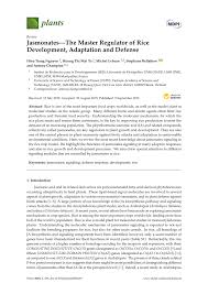 243 il n'y a aucun gagnant. Pdf Jasmonates The Master Regulator Of Rice Development Adaptation And Defense