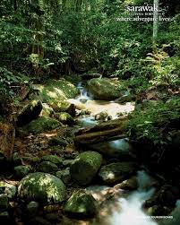 Kalau di sarawak inilah dia taman negara yang paling besar dengan keluasan kawasan sehingga 528 km persegi. Kubah National Park Jungle Trails Bird Watching And Waterfall