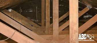 Like rats and mice, bats can make scratching noises in your attic or other areas of your home, but one thing you should know is that bats tend to be relatively quiet. Pest In Your Attic 5 Signs There Is One And 8 Ways To Prevent It