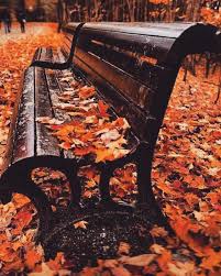 Merci A Fall World L Automne Et Ses Feuilles De Toutes Les Couleurs Qui Viennent Colorer Les Trottoirs L Automne Paysage Automne Fond Ecran Automne Photos