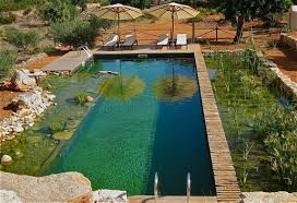 The New Natural Swimming Pool At The Fabulously Relaxing Ca Marti Farm Ibiza Natural Swimming Pools Natural Swimming Pool Swimming Pools