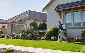 Looking around the web you will see that our clients are thrilled with the service they are receiving. Home Pest Control Local Queen Creek Az Pest Control