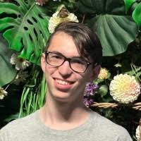 80+ "Mesh Mesh" profiles