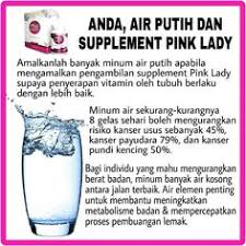 Ia dapat menghindarkan dari mendapat sembelit malah pembakaran kalori juga akan kita mungkin dapat bertahan bila tidak makan beberapa hari namun tidak mungkin dapat bertahan jika tidak minum air. Pinklady Malaysia Pinkladymalaysia Profile Pinterest
