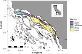 Maybe you would like to learn more about one of these? Frontiers Characterizing Community Structure Of Benthic Infauna From The Continental Slope Of The Southern California Bight Marine Science