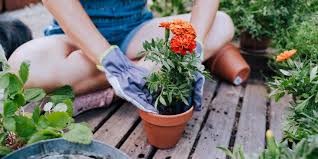 Regular gardening gloves only protect you up to your wrists. 6 Best Gardening Gloves Of 2021 And Where To Buy Them Online