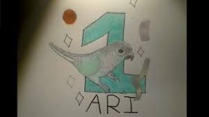 If you go to school, take animation or art classes if they offer them. How To Draw Ari The Bird Drawing Tutorials