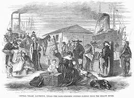 Image result for Yellow Fever