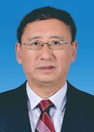 Effects of 1 MeV electron radiation