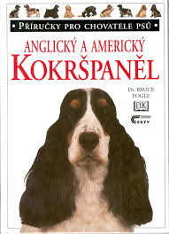 Image result for americký kokršpaněl