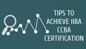 Strategy For Passing The Iiba Ccba Certification Exam In 2020 Iiba How To Memorize Things Business Analysis