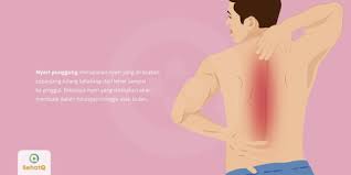 Kamu harus terapi punggung sakit. Nyeri Punggung Tanda Dan Gejala Penyebab Cara Mengobati Cara Mencegah