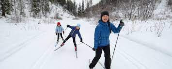 With some weight removed from one skate, the but it can be difficult for many beginners to understand, and it can lead to studying how to stop and skate if you learn about your edges. How To Choose Cross Country Nordic Skis Mec Learn