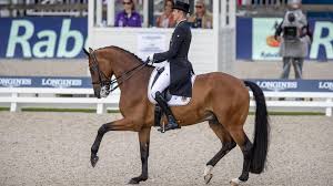 We did not find results for: Equitation Pas De Jeux Olympiques Pour L Equipe Belge De Dressage Classee Quatorzieme A Rotterdam Le Soir