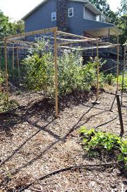 Raised beds in gardening are an old concept and if they are still around it means they work. 6 Tips To Create An Animal Proof Garden Fence The Seasonal Homestead