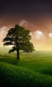 Original nokia 5800 xpressmusic wallpapers download free page 20. Beautiful Nokia Mobile Wallpaper
