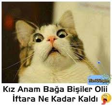 Kiz Anam Baga Bisiler Olii Iftara Ne Kadar Kaldi Komik Hayvanlar Komik Internet Fenomenleri Komik Seyler