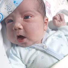 Remes desde $4999. Shorts dama elastizados y rígidos del 36 al 46 $14.999  efe/transf.❤️‍🔥.