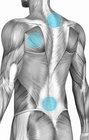 Deep tissue massage, massage therapy, sports massage. Revival Massage Therapy Deep Tissue Sports Swedish Massage Manual Lymphatic Drainage
