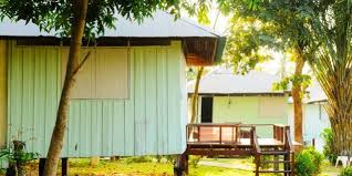 Maybe you would like to learn more about one of these? Why Houses On Stilts Are A Good Idea House On Stilts Houspect Nt