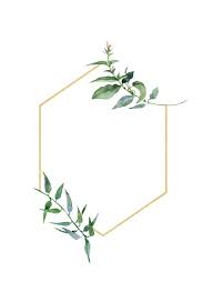 Pin By Bedour On Inspiration Flower Frame Iphone Wallpaper Wallpaper Backgrounds