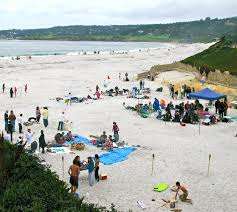 CARMEL RIVER BEACH -“Terrible. Awful. Dont come.” | Once upon a  time..Tales from Carmel by the Sea