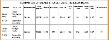 Bison Basics Nutrition