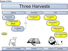 The Last 3 Fall Feasts Of The Lord 2019