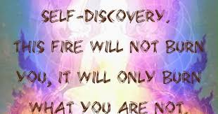Alain De Botton A Kinder Gentler Philosophy Of Success Step Into The Fire Of Self Discovery This Fire Will Not Burn You It Will Only Burn Wha Higher Consciousness Quotes Energy Healing Reiki Energy Consciousness