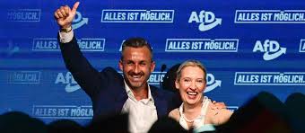 alternative für deutschland