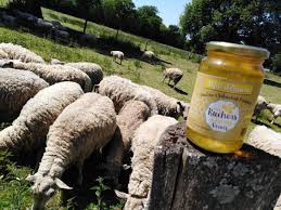 Les Ruchers Du Bocage Virois A Saint Germain De Tallevende Office De Tourisme Du Pays De Vire