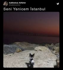 seni yenicem istanbul subliminal instagram photo photo and video