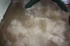 We did not find results for: Eau Qui Remonte Sur Une Dalle Beton Sous Sol